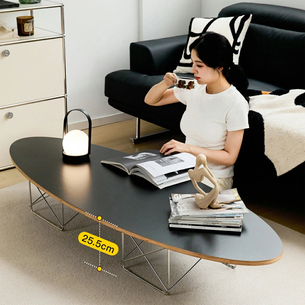 Replica Eames Stainless steel Wire base Elliptical Coffee Table