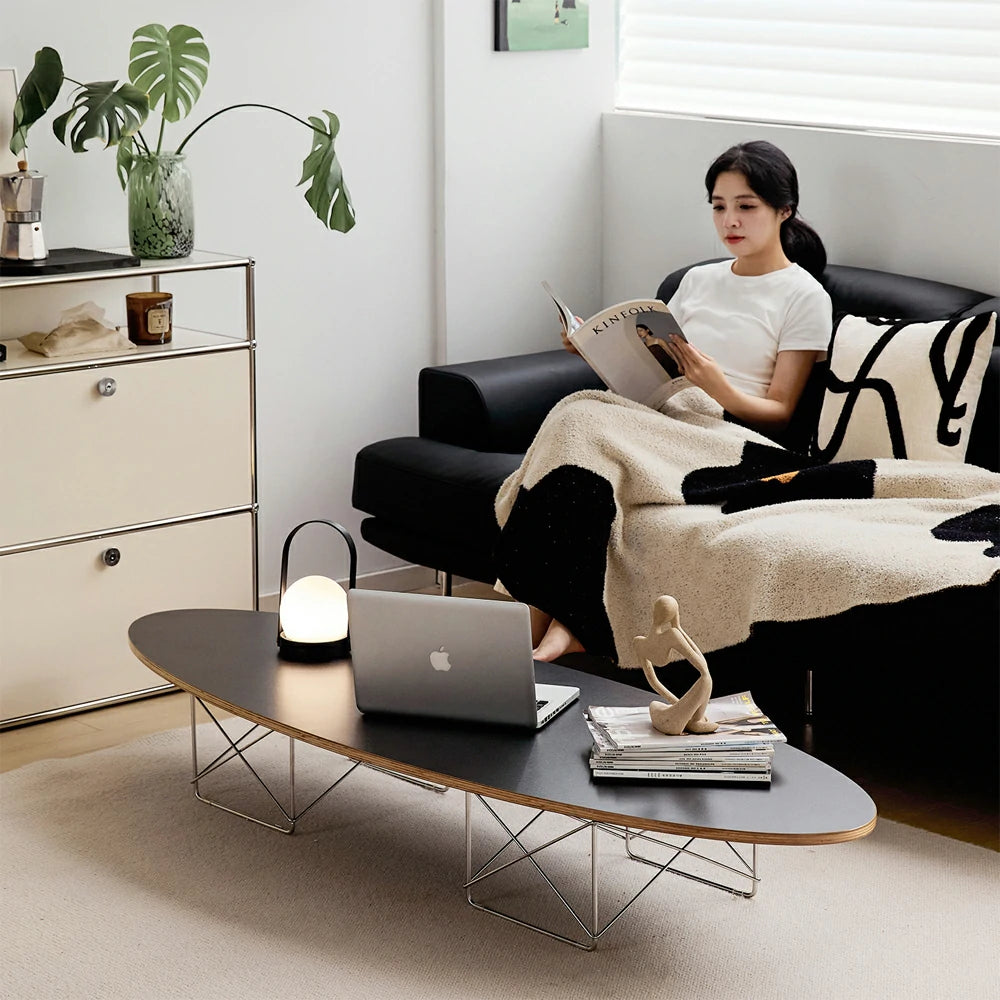 Replica Eames Stainless steel Wire base Elliptical Coffee Table