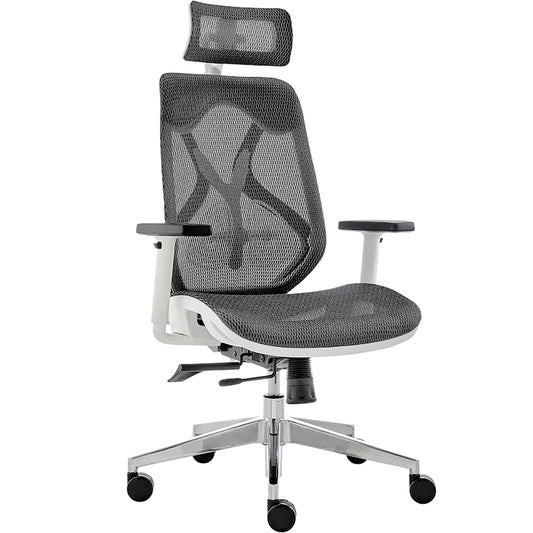 Top 6 Ergonomic Mesh Office Chairs