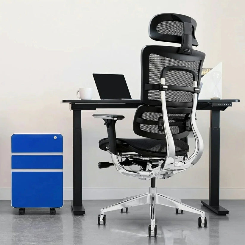 5.1 Wenaifurniture All Mesh Ergonomic Computer Chair with Ergo Head Rest