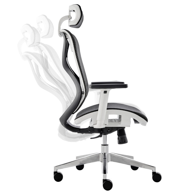 Ergonomic Commercial Project High Back Office Chair with Headrest