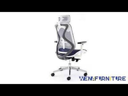 Egonomic Executive Office Chair blue mesh vedio
