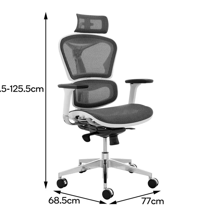  Ergonomic High Back Mesh Chair