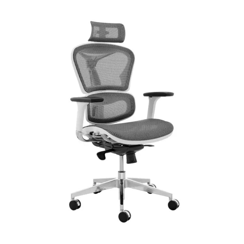  Ergonomic High Back Mesh Chair
